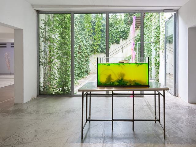 jungwoon_kim_the_ppol_dusseldorf_fishing-in-green-living-in-yellow-exhibition-ausstellung