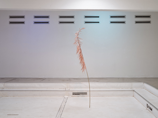 jungwoon_kim_the_pool_dusseldorf_traurige_tropen_sculpture