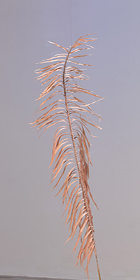 the-pool-jungwoon-kim